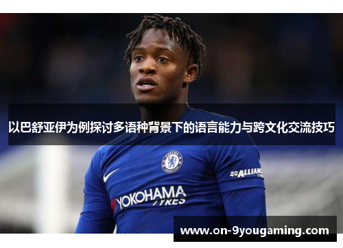 以巴舒亚伊为例探讨多语种背景下的语言能力与跨文化交流技巧