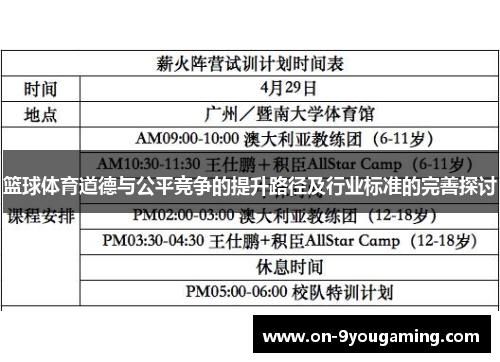 篮球体育道德与公平竞争的提升路径及行业标准的完善探讨