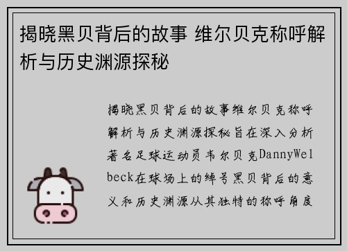揭晓黑贝背后的故事 维尔贝克称呼解析与历史渊源探秘