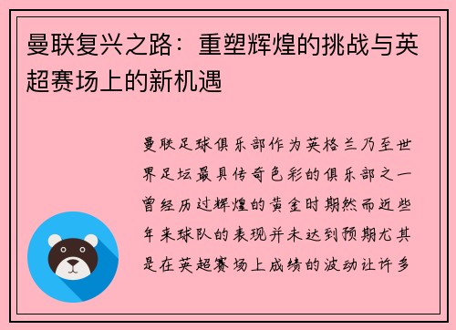 曼联复兴之路：重塑辉煌的挑战与英超赛场上的新机遇